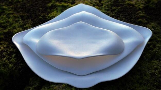 Una vajilla de inspiración marina "visibiliza las especies más amenazadas del Planeta"