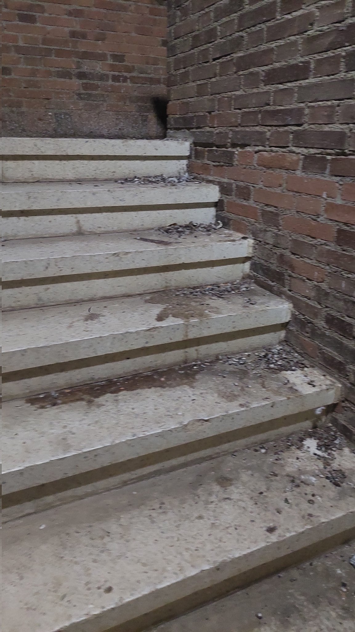 Grada general del Estadio Adolfo Suárez