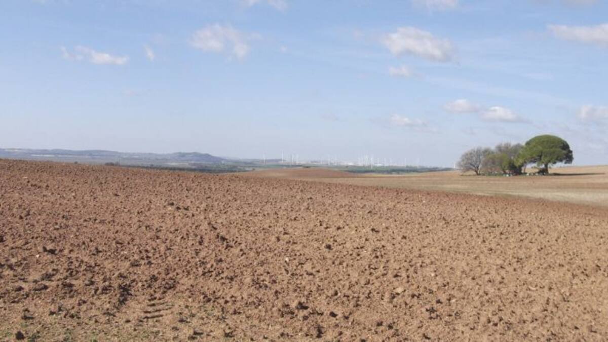 Ansasol presenta su parque solar de 250 hectáreas en Puerto Real