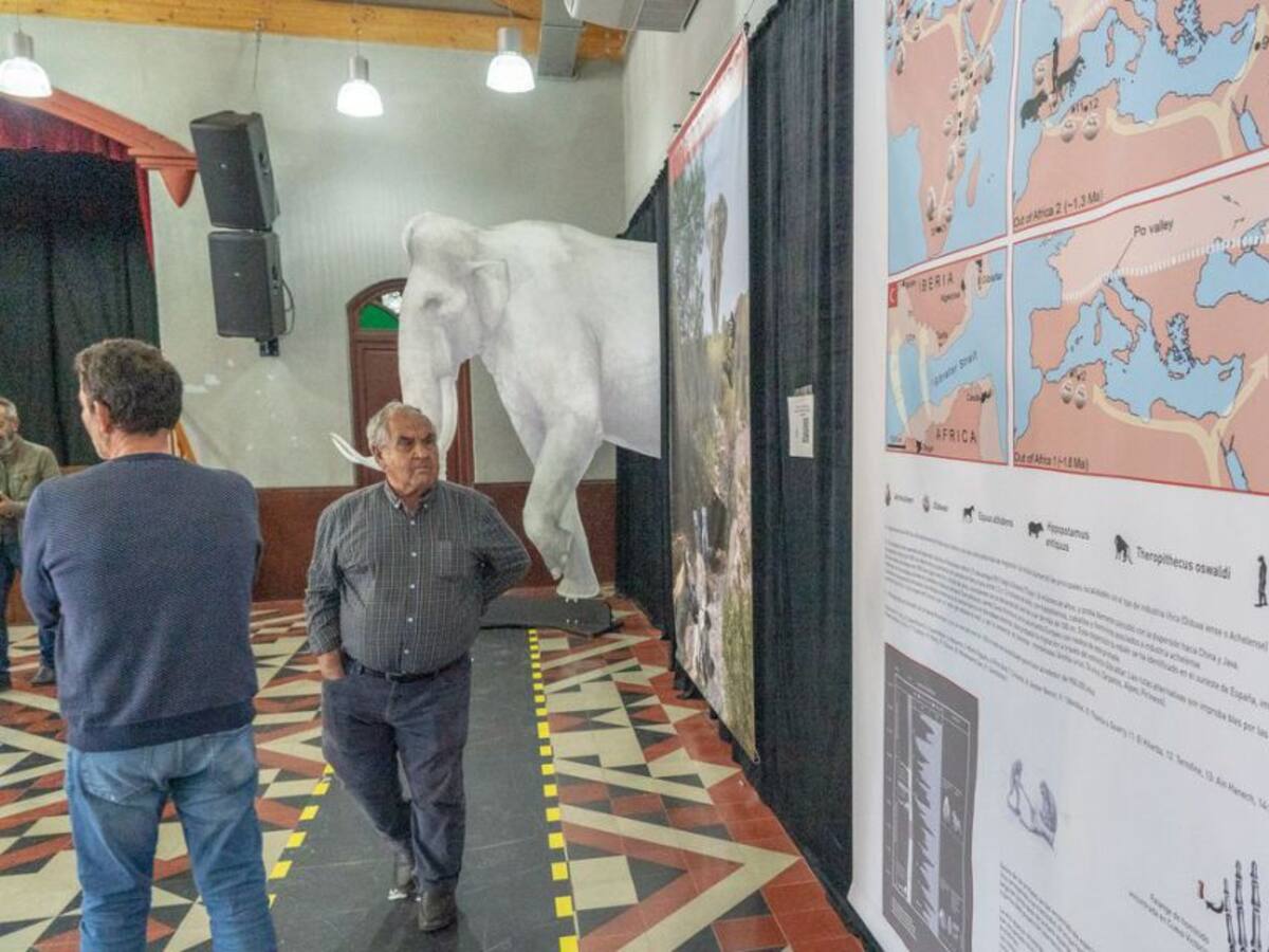 La diputación de El Llano acoge la exposición 'Cueva Victoria, la Joya del Pleistoceno'