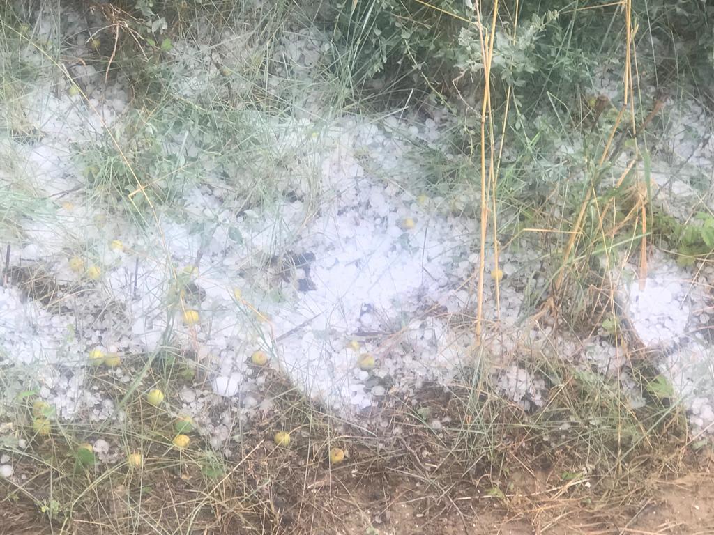 Granizo e inundaciones con afecciones en el campo altoaragonés