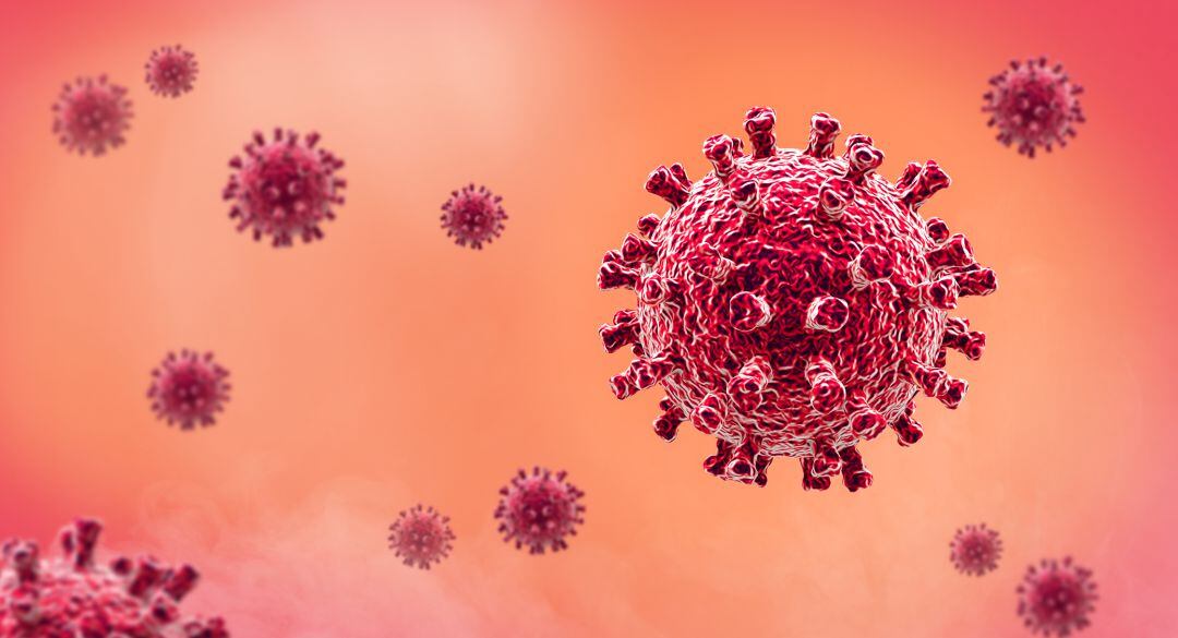 Desde el inicio de la pandemia la Región de Murcia ha registrado 744 fallecidos