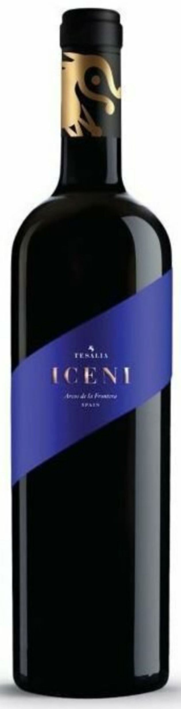 Iceni