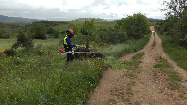 ´Las cuadrillas trabajan en el marco del Plan de Empleo Medioambiental