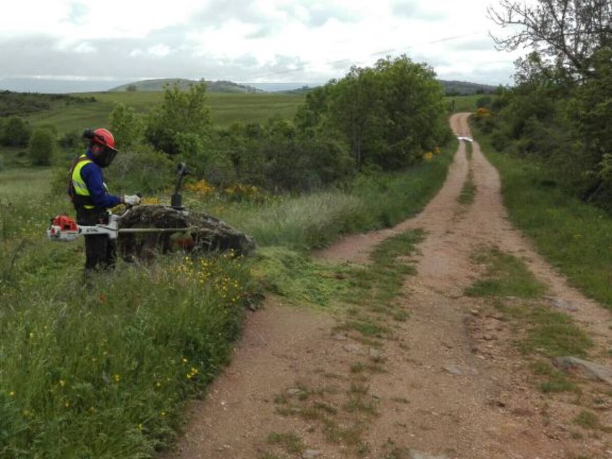 Las cuadrillas del Plan de Empleo de la Diputación acondicionarán el Camino de Santiago a su paso por Palencia