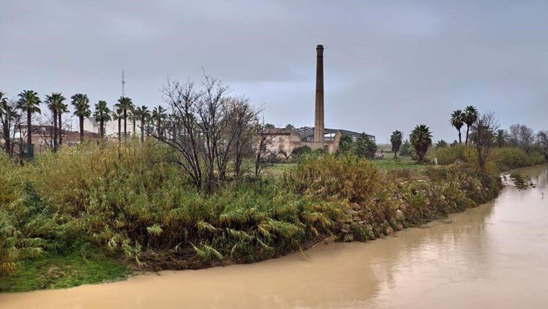 El término municipal de Alzira ha sufrido con este temporal 