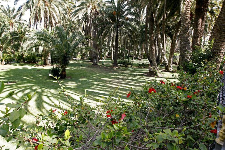 Vista de los jardines del hotel Riu Maspalomas Oasis, situado en un privilegiado enclave natural del sur de Gran Canaria.