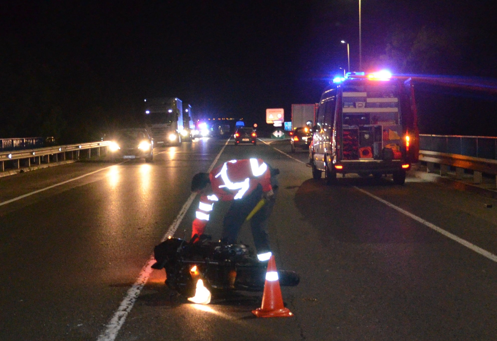 Herido grave un motorista tras atropellar a un búho en Castejón, Navarra