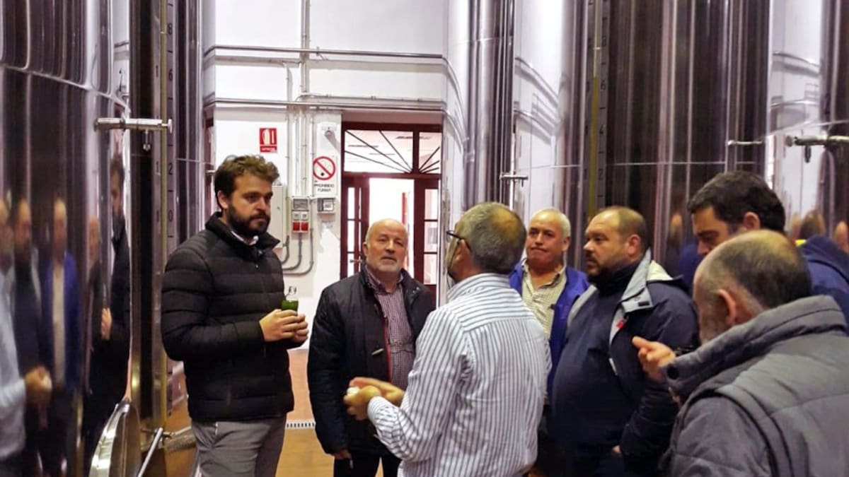 La producción aceitera de Bedmar alcanzará los 19 millones de kilos de aceituna