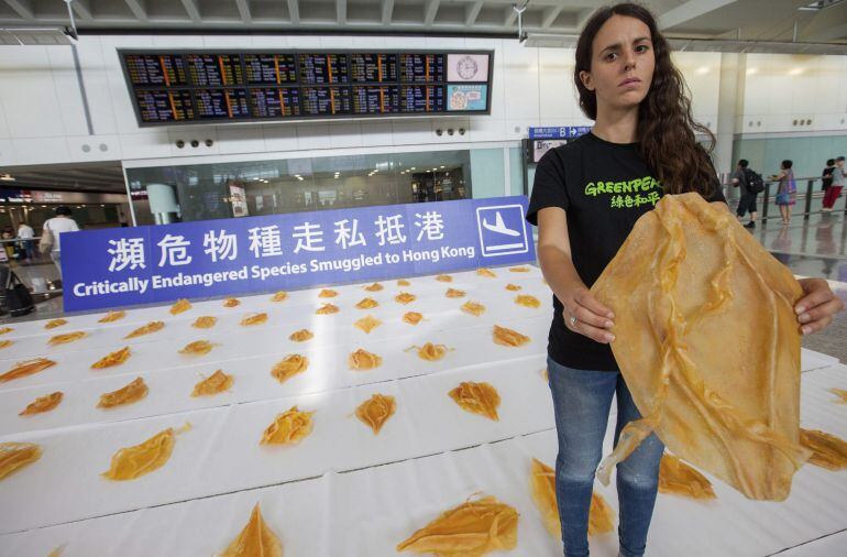 CH01 HONG KONG (CHINA) 28/05/2015.- Una activista de Greenpeace realiza una protesta en el aeropuerto internacional de Hong Kong para denunciar el comercio ilegal de especies marinas en peligro de extinción. EFE/Alex Hofford