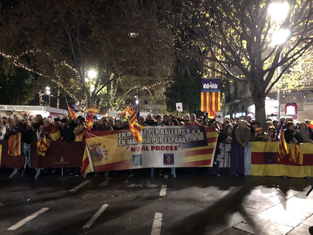 Concentración por la unidad de España en Palma