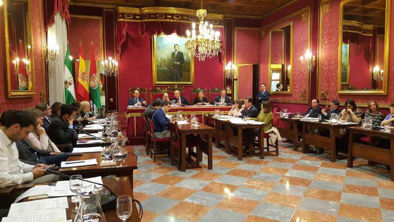 Pleno del Ayuntamiento de Granada