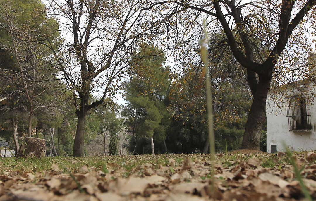 Paraje de la Mare de déu de Gràcia en Vila-real