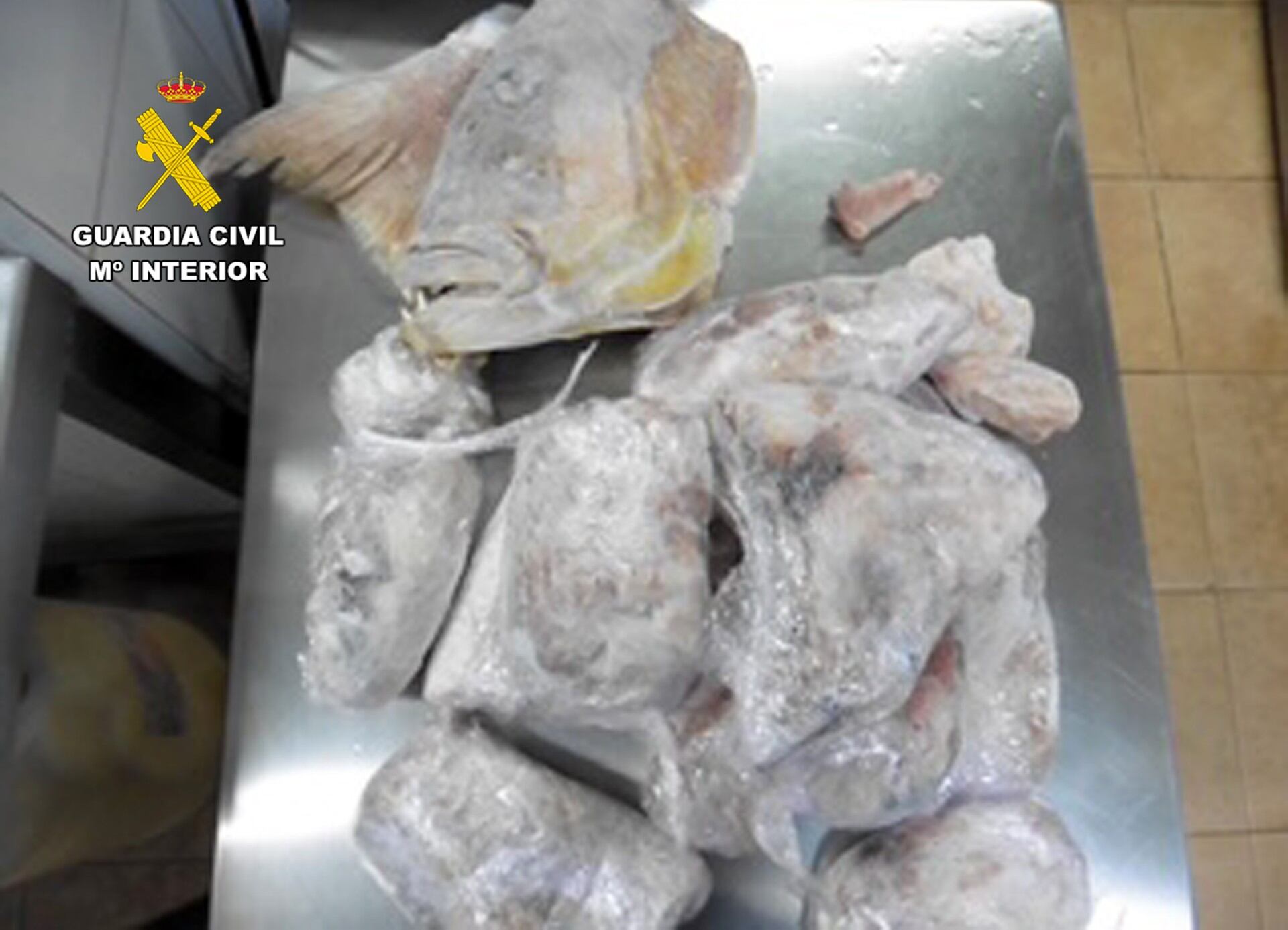 La Guardia Civil halla en un restaurante de La Unión 32 kilos de pescado sin trazabilidad