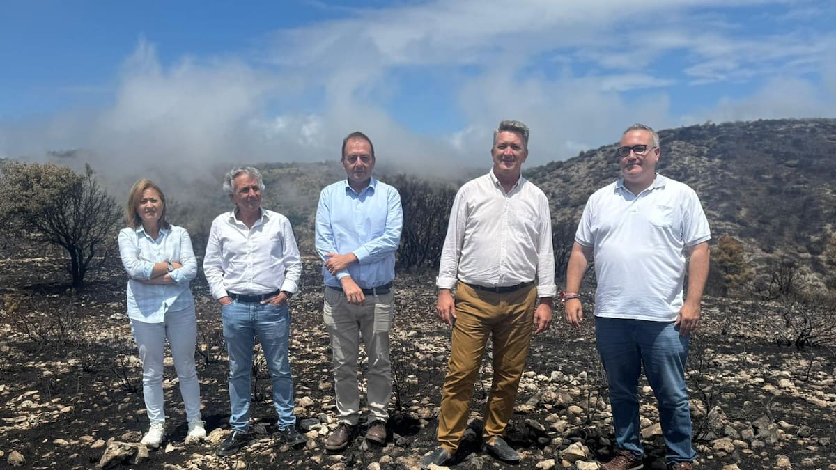 Martínez Mus anuncia la inminente recuperación de la zona afectada de la Font Roja y destaca el funcionamiento de las instalaciones de prevención
