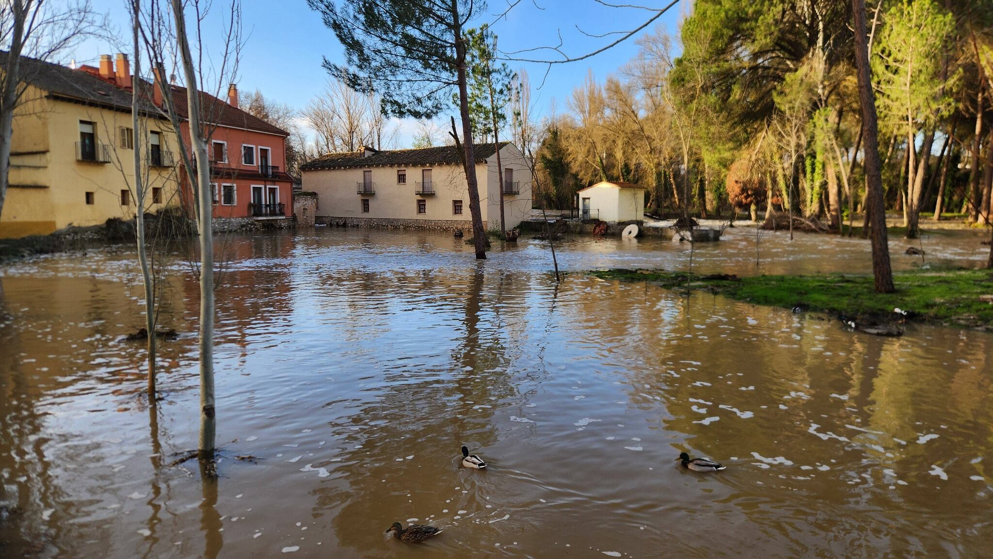El Duratón y sus efectos en Peñafiel