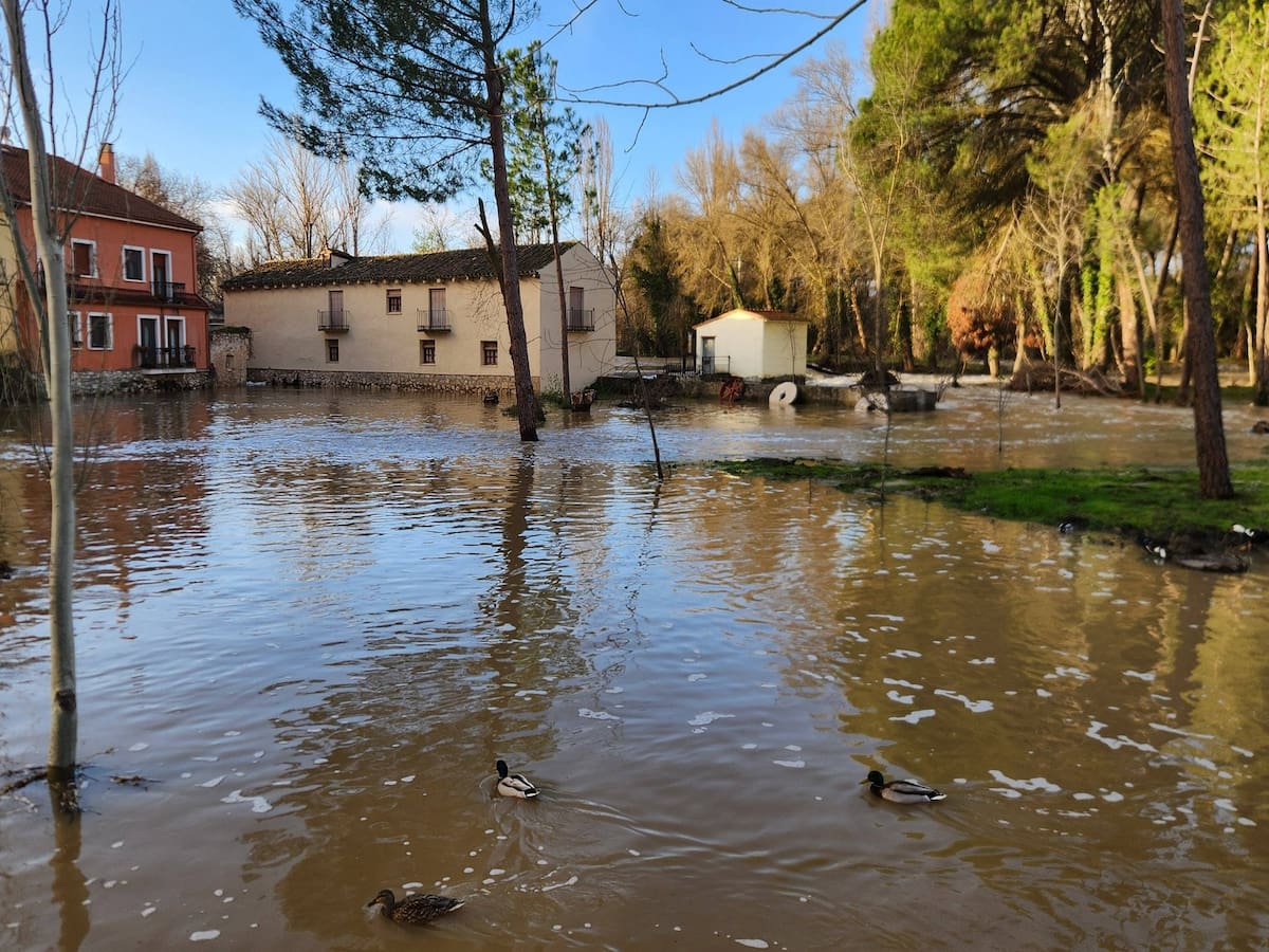 El alcalde de Peñafiel, a la CHD: "Hay que ser más responsables y mejorar la gestión de las sueltas que se hacen"
