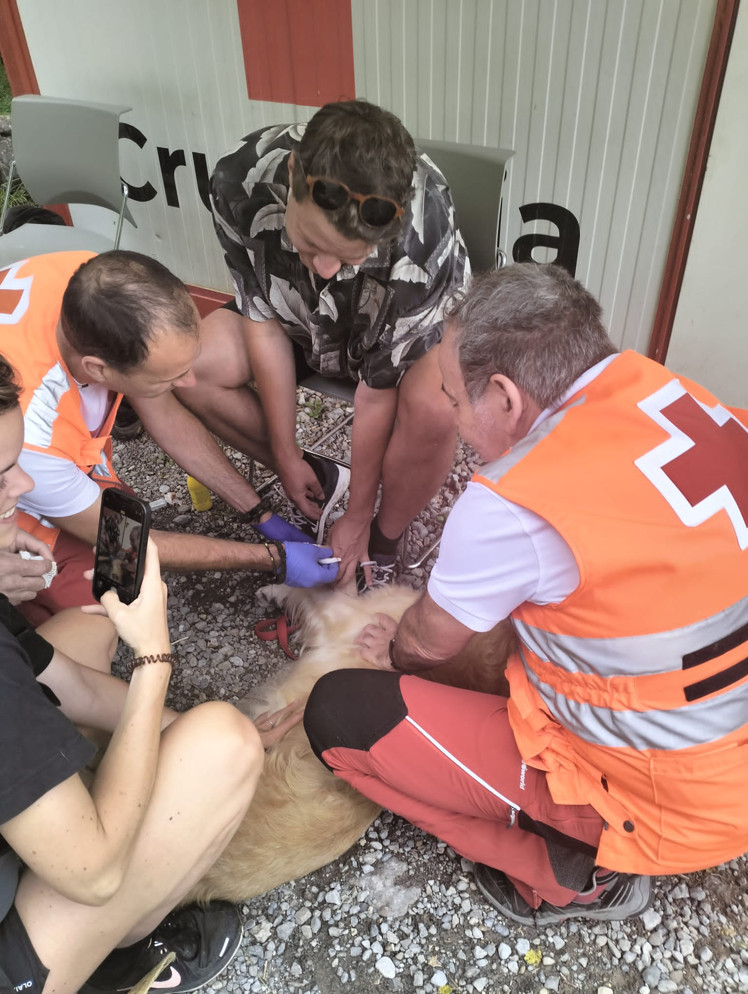 Voluntarios de Cruz Roja atendiendo a un perro