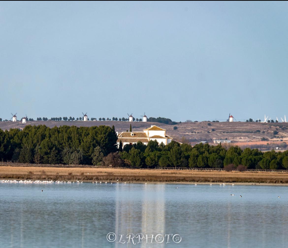 Laguna de Manjavacas