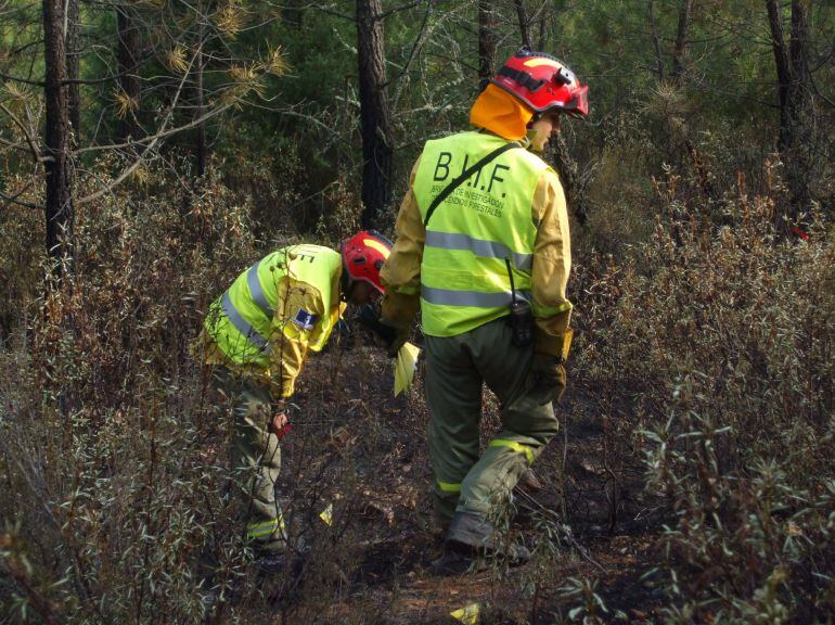 Agentes mediambientales, incencio