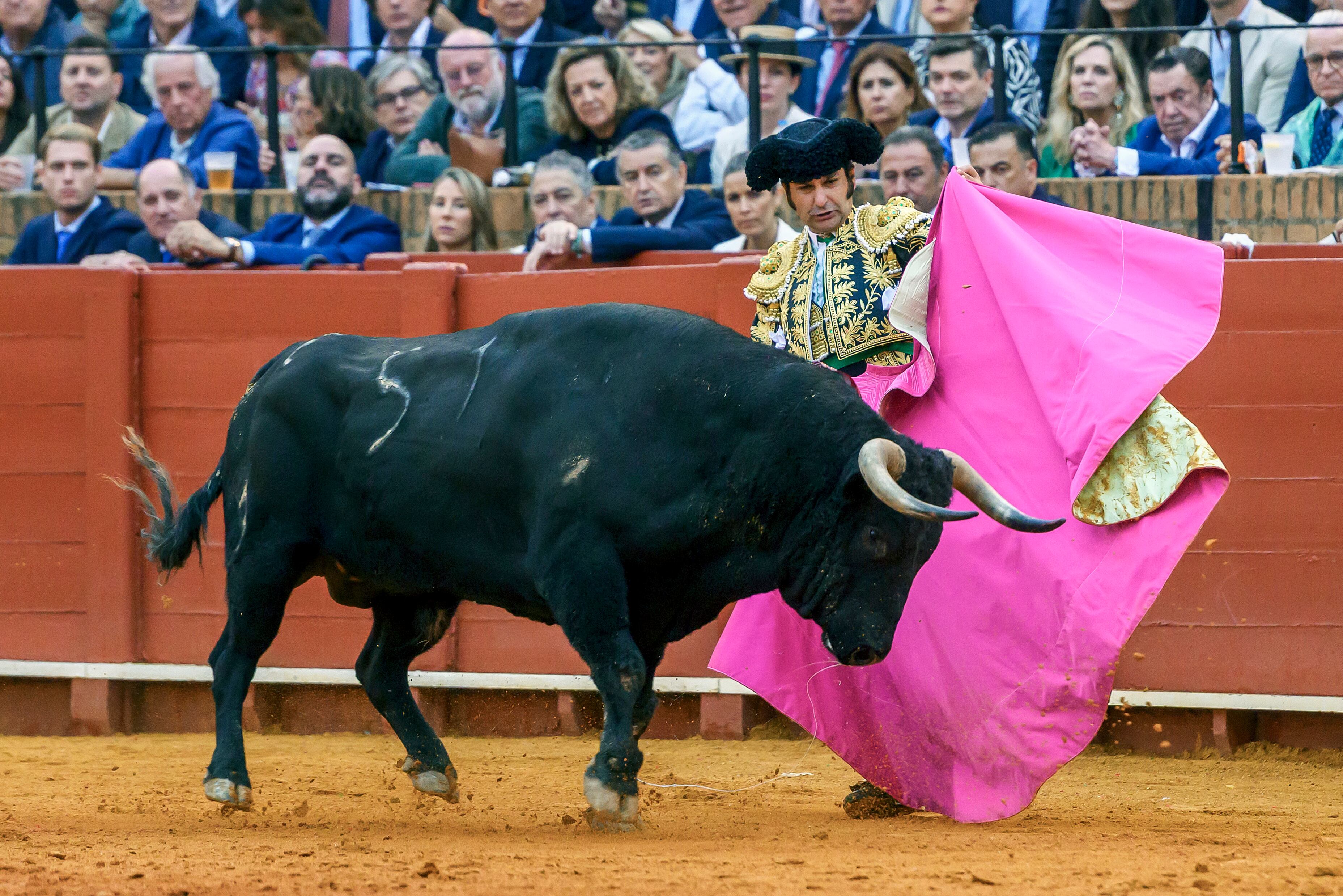 SEVILLA, 28/09/2025.- El diestro Morante de la Puebla con su primer toro en la corrida de la Feria de San Miguel que se celebra este domingo en la Plaza de Toros de La Maestranza de Sevilla. EFE/ Raúl Caro
