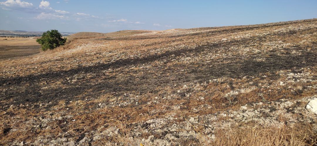 Imágen de los lodos diseminados por una finca situada a tres kilómetros de Pinto.