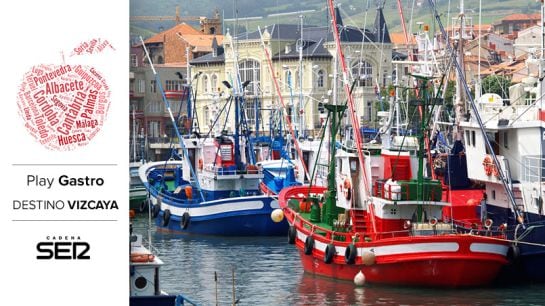 Barcos de pesca atracados en el puerto de Bermeo.