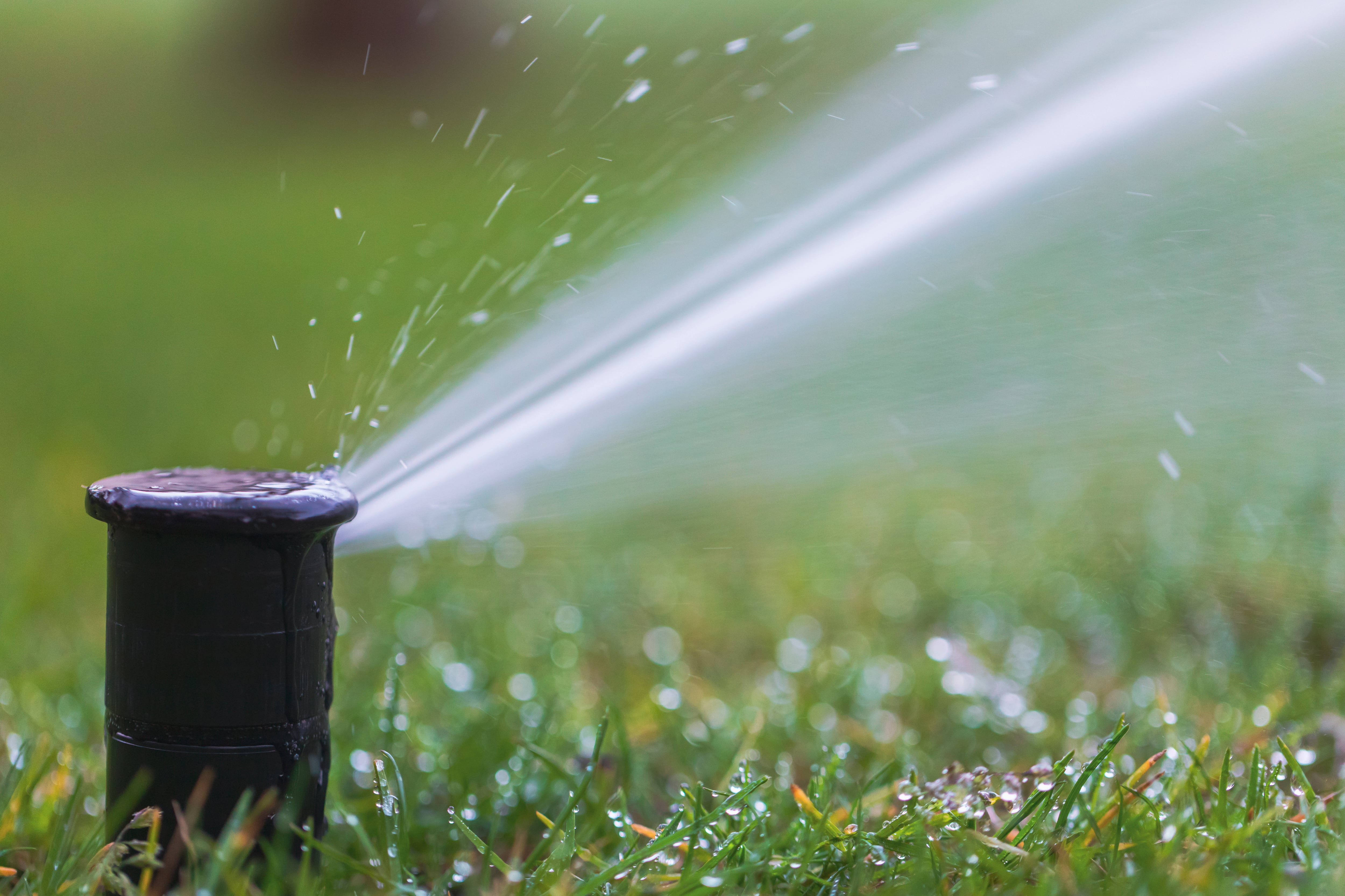 Un aspersor difumina agua en un campo de siembra