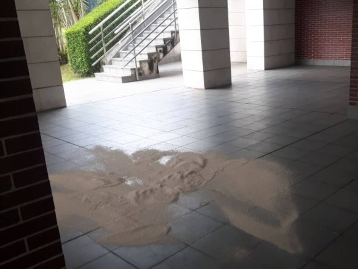 “Nadie vio, ni escuchó nada”