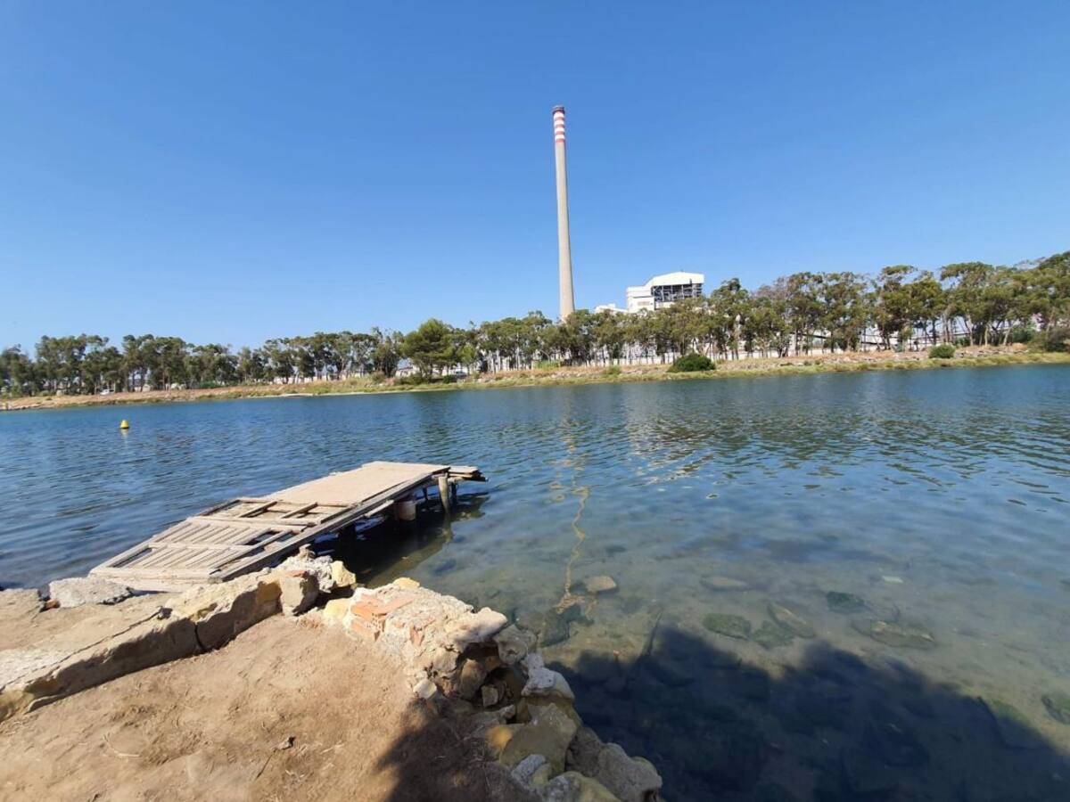 Verdemar pide recuperar las marismas de los ríos Palmones y Guadarranque