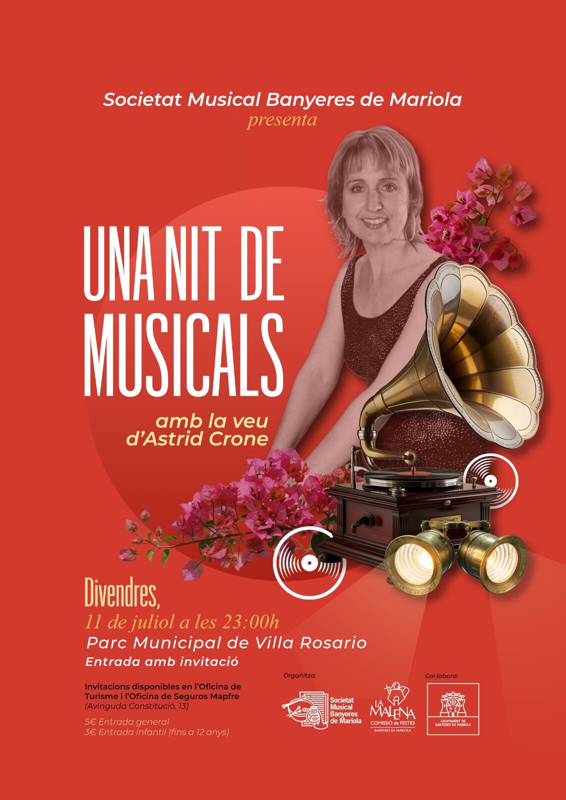 Cartel del concierto