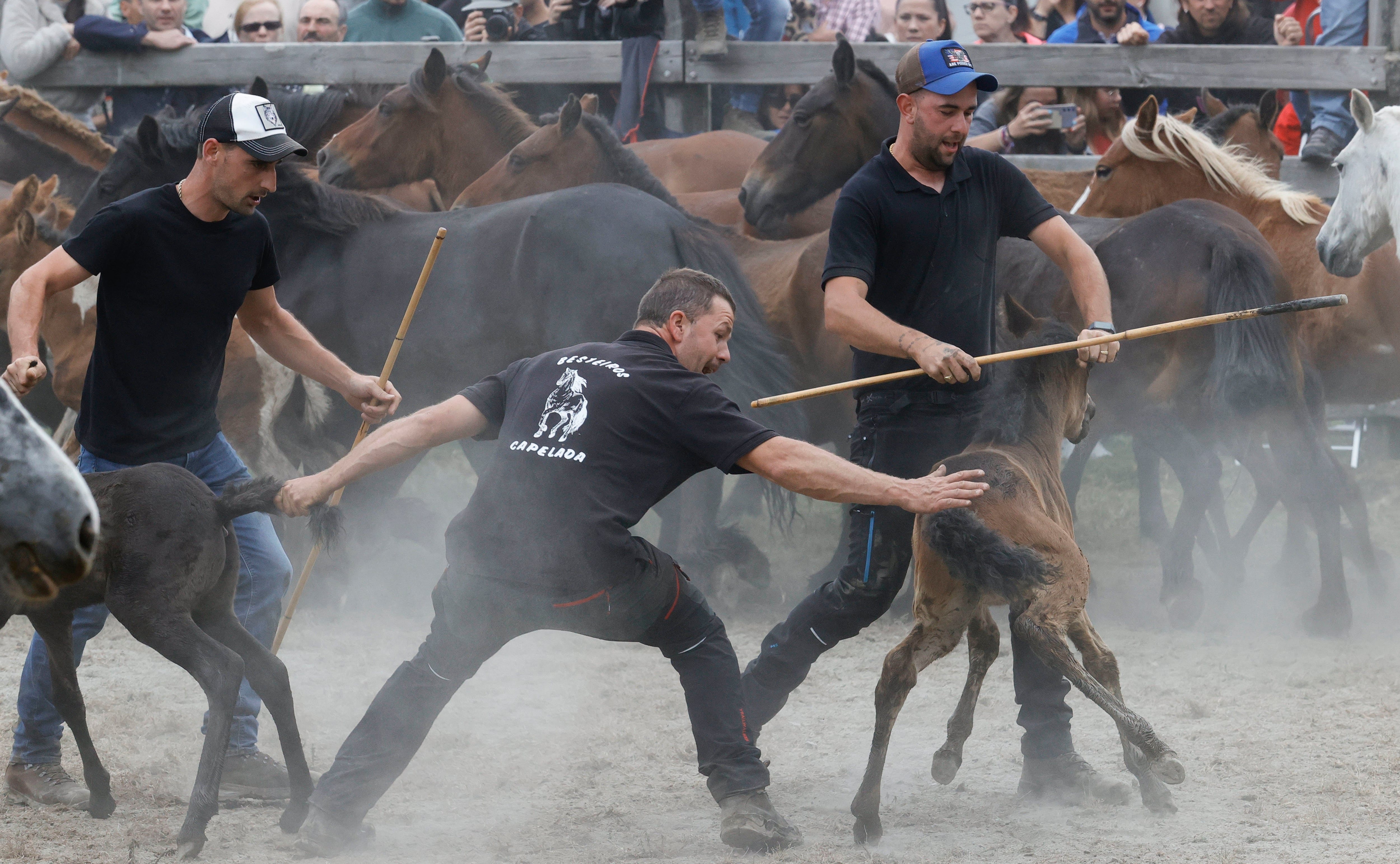 Con más de medio siglo de historia, la Rapa das Bestas de la sierra de A Capelada, entre los municipios de Cedeira y Cariño, reúne a centenares de personas en un curro todavía más popular gracias a la serie televisiva 'Rapa" (foto: Kiko Delgado / EFE)