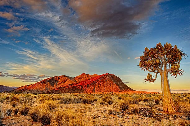 El Desierto de Kalahari