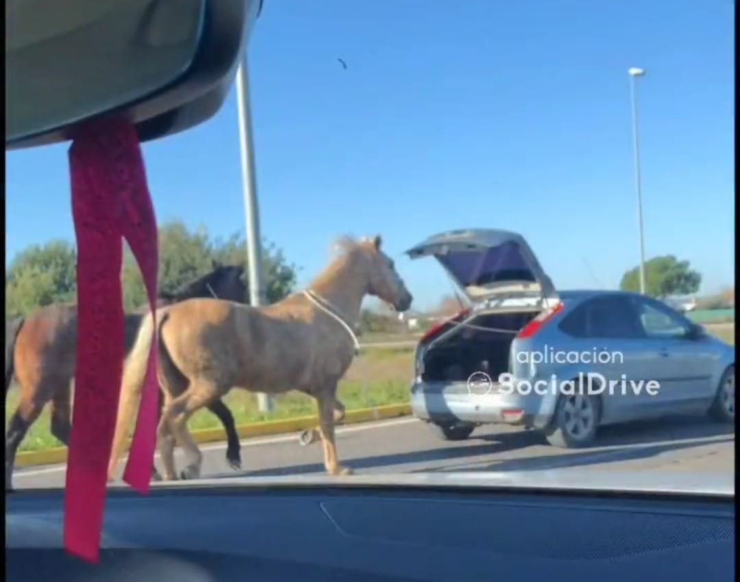 Imágenes captadas en Córdoba y subidas a la red por un usuario de Social Drive