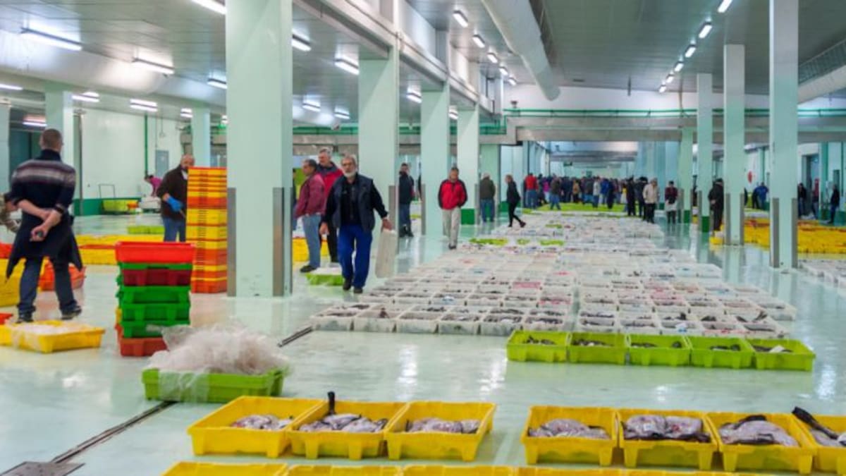 Entrevista a Juan Carlos Corrás, presidente de la Lonja de A Coruña (04/07/2022)