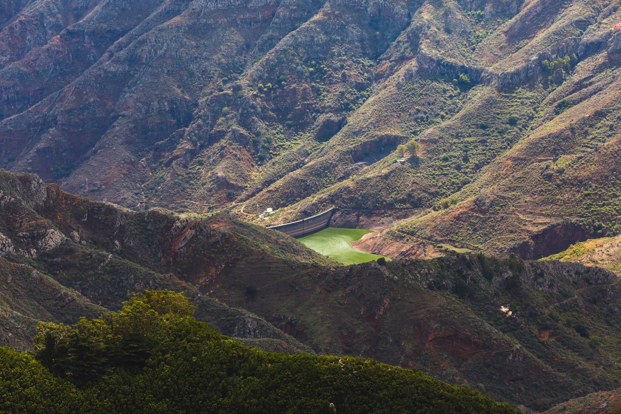 Embalse en el Parque Rural de Anaga, en Tenerife