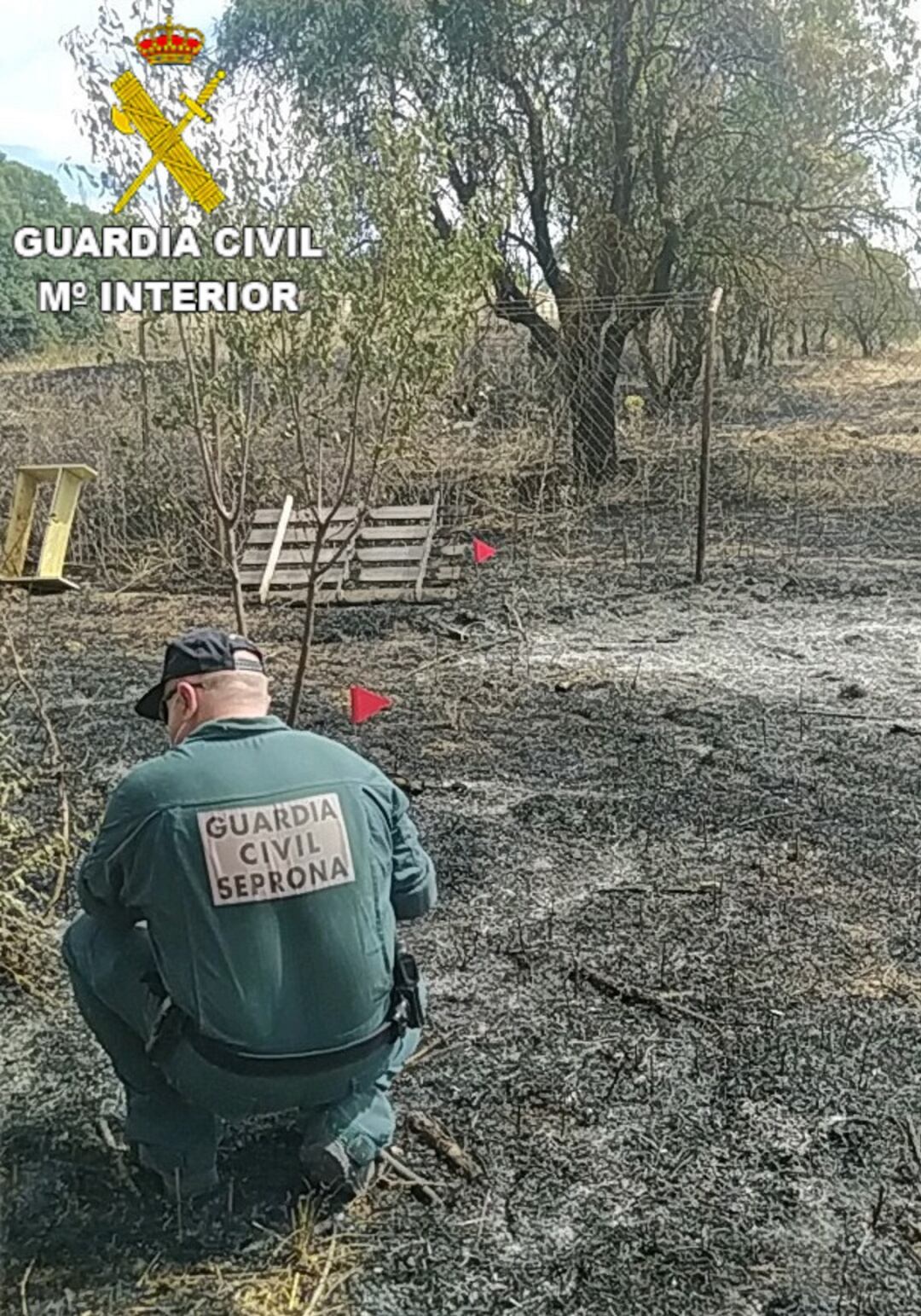  Guardia Civil inspeccionando un incendio forestal