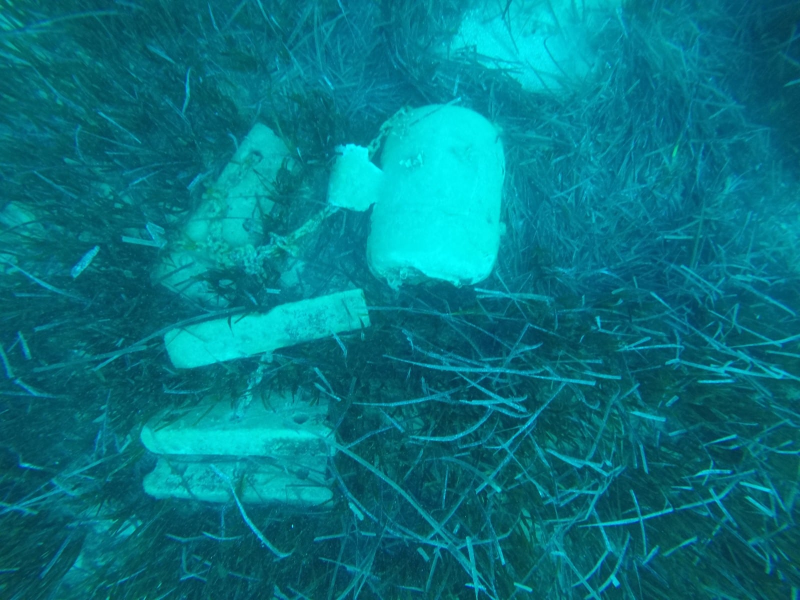 Uno de los &quot;muertos&quot; retirados por el Ayuntamiento de Sant Josep en la bahía de Porroig