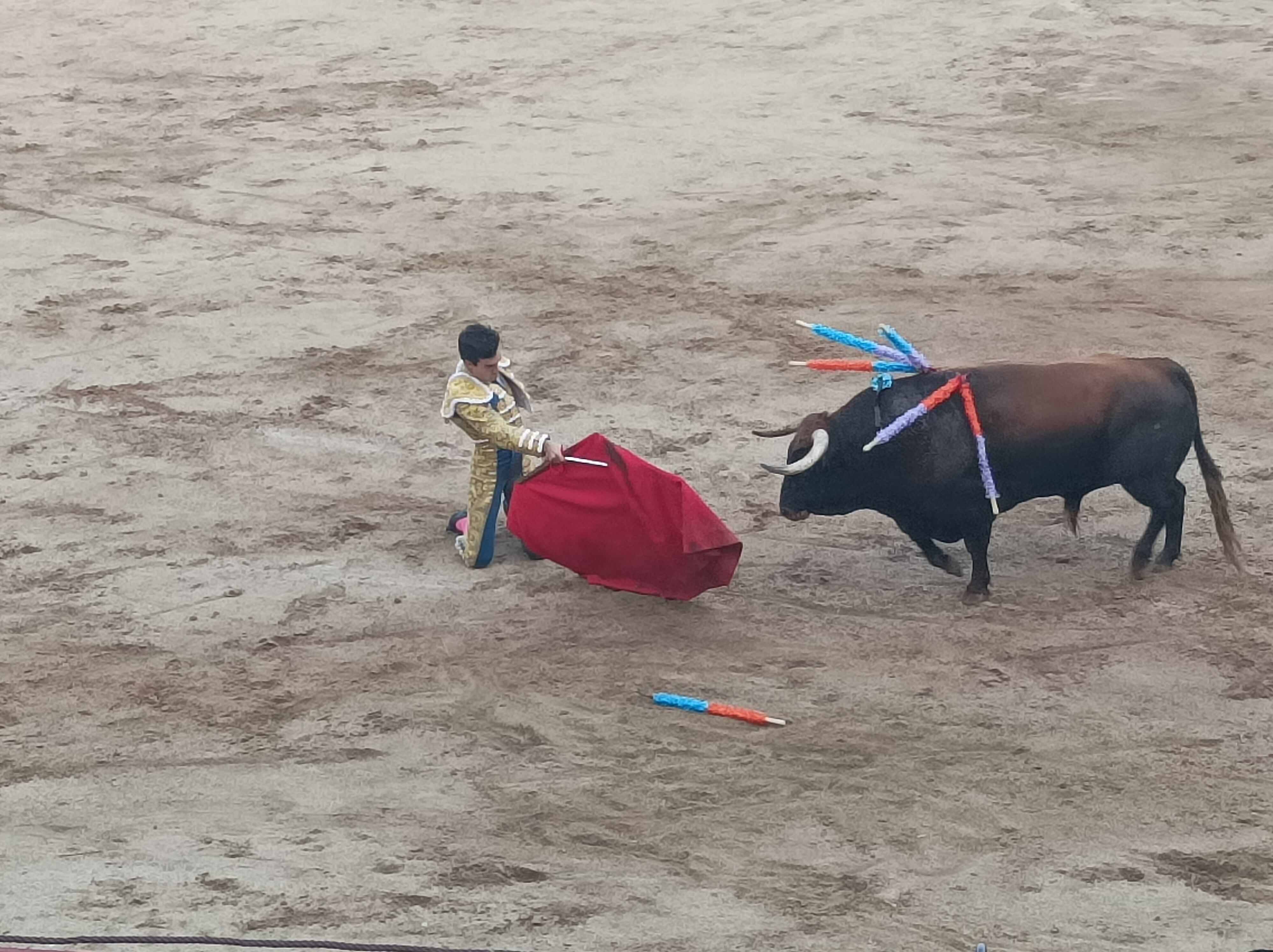 Tomás Rufo en plena faena en Talavera