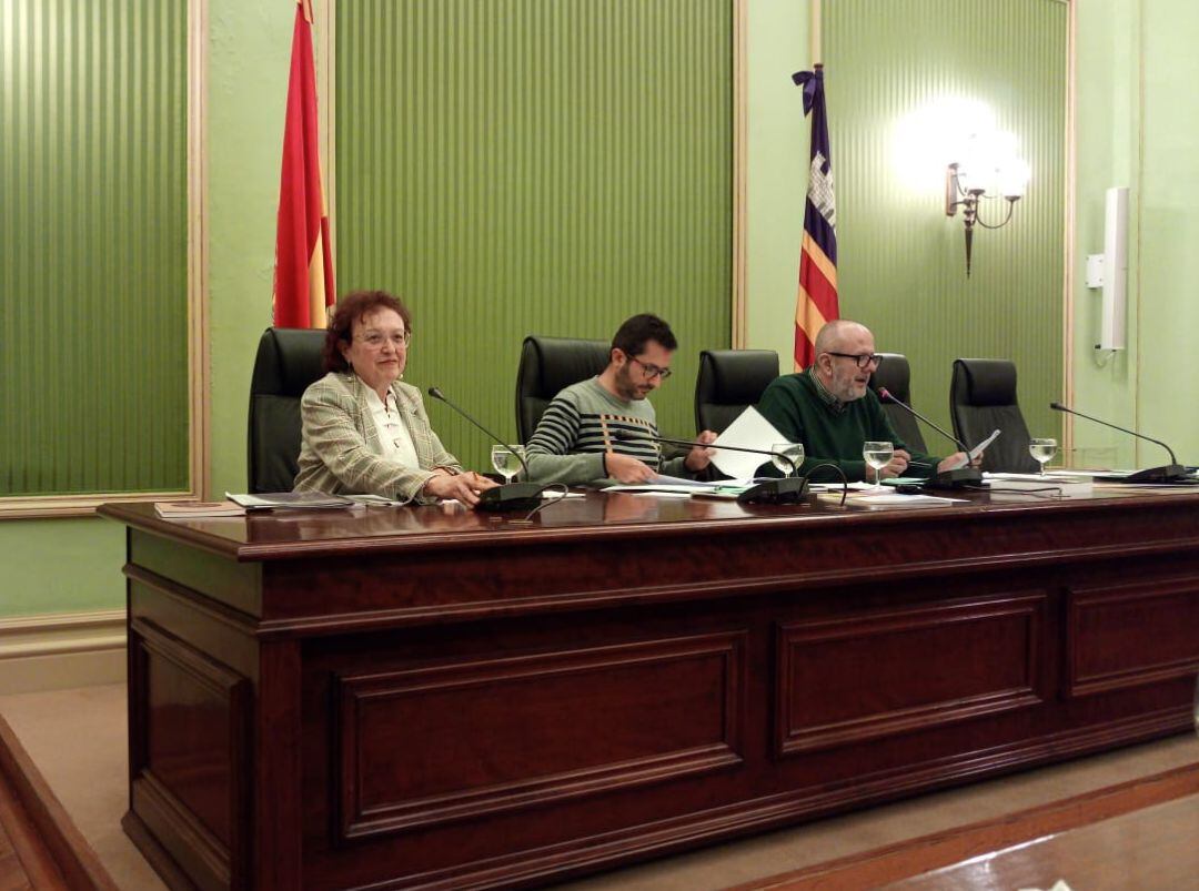 Comparecencia de la directora del IBDona, Maria Duran.