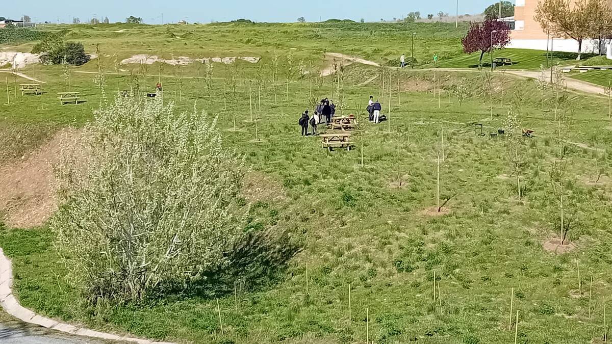El Ayuntamiento de Zamora reforesta la ladera norte del Bosque de Valorio
