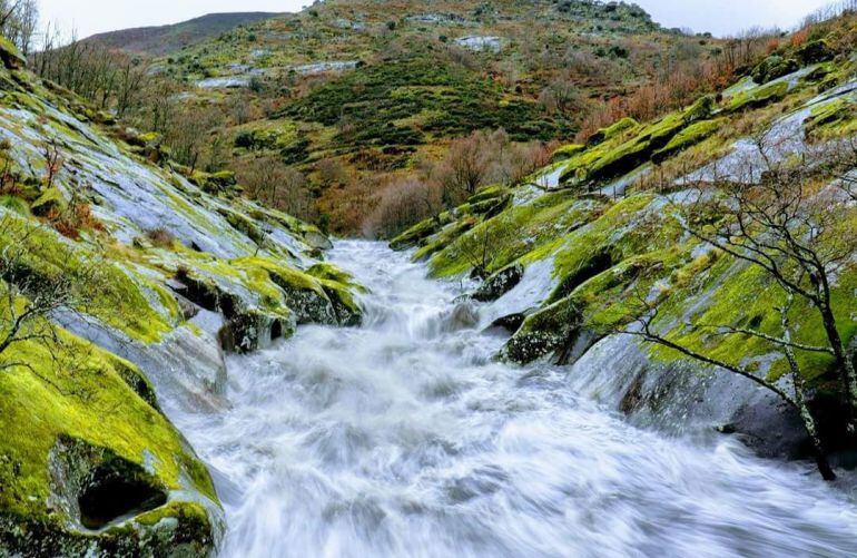 Torrente en el Valle del Jerte