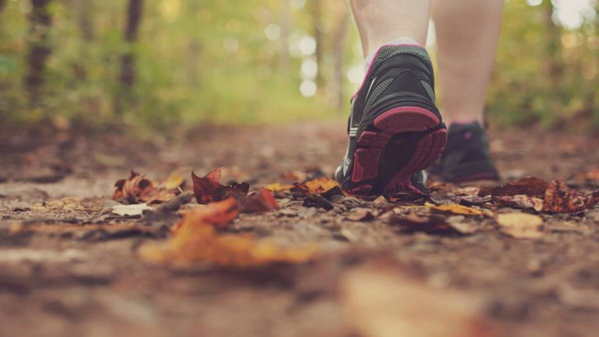 'He après que la vida és efímera'