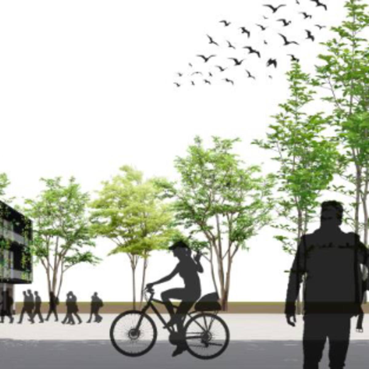 Un paso más para la rehabilitación del epicentro de Santa Catalina