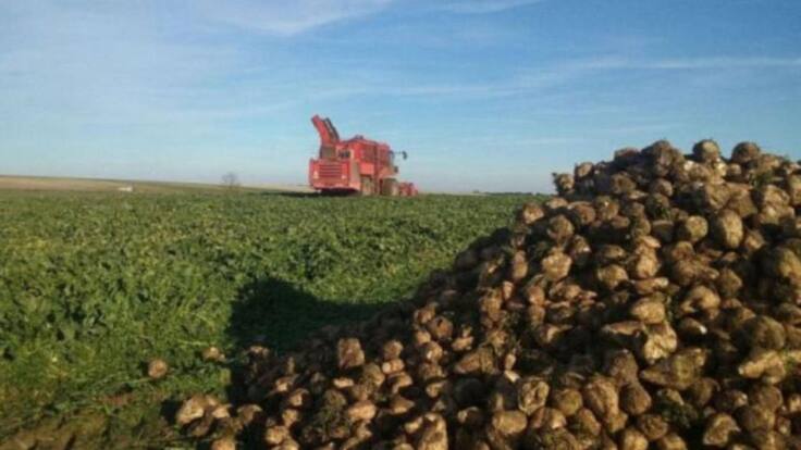 Entrevista a Salomé Santos