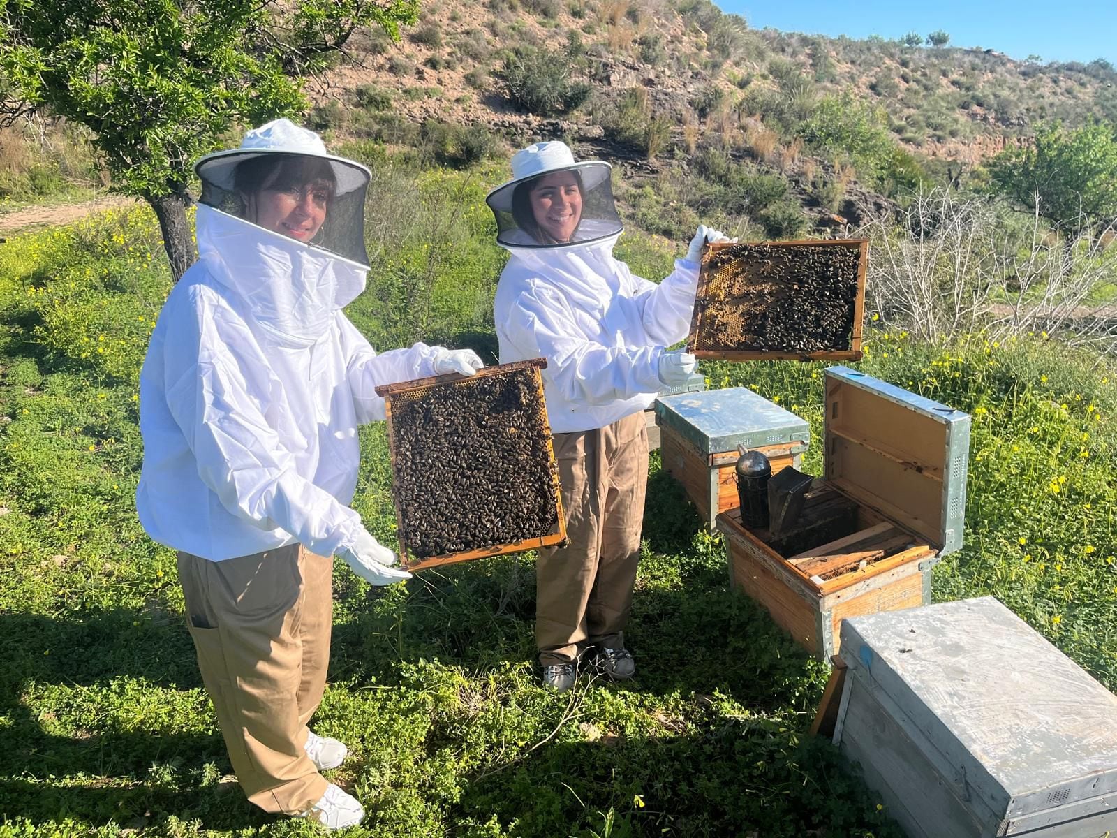 Álvaro Pérez, apicultor del campo de Cartagena