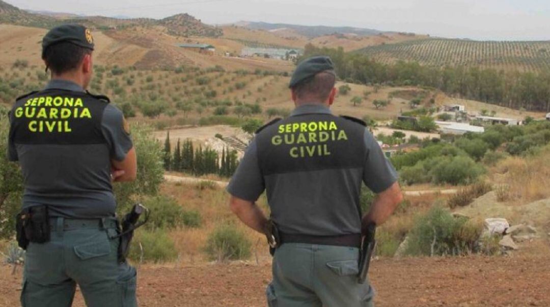 Agentes de la Guardia Civil.