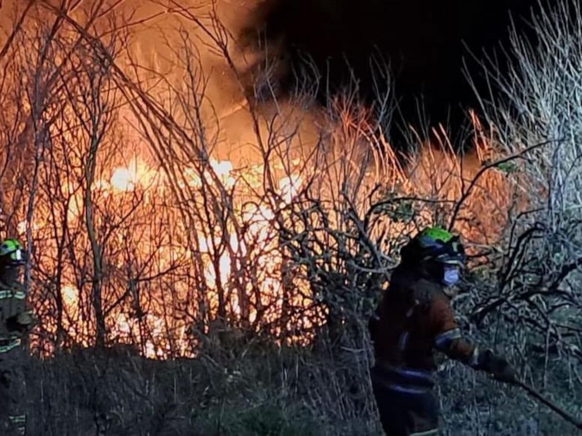 Un incendio en un cañar cerca de la CV-60 obliga a desplegar un amplio dispositivo en L’Olleria