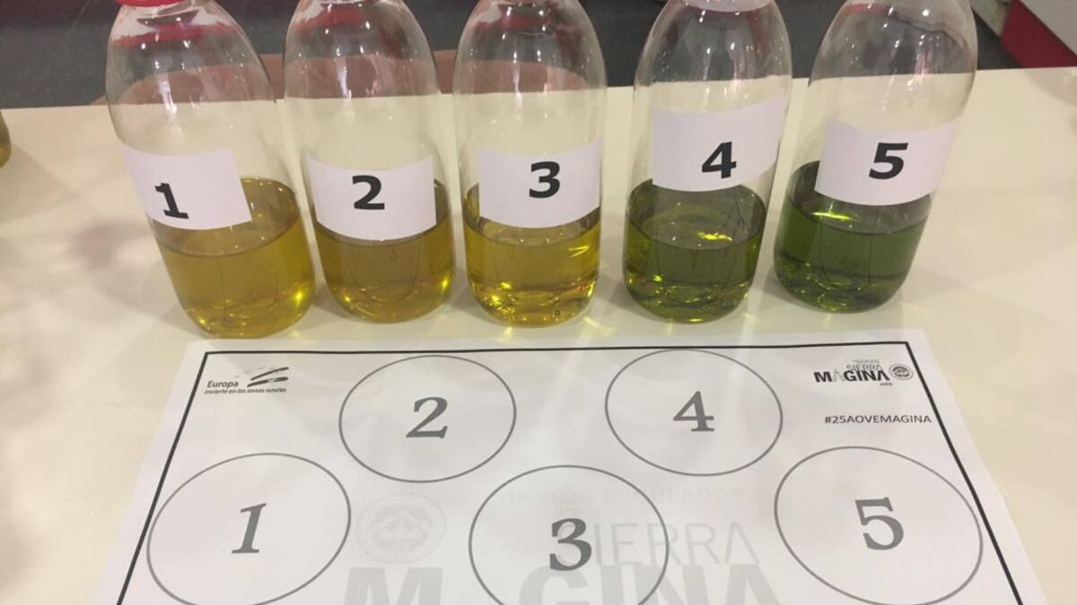 Sierra Mágina lleva sus AOVEs a la Universidad Complutense de forma virtual