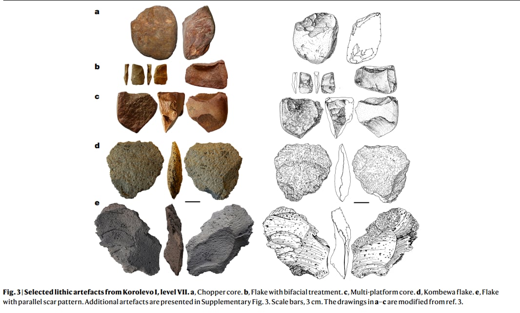 Selected lithic artefacts from Korolevo I, level VII. a, Chopper core. b, Flake with bifacial treatment. c, Multi-platform core. d, Kombewa flake. e, Flake with parallel scar pattern.